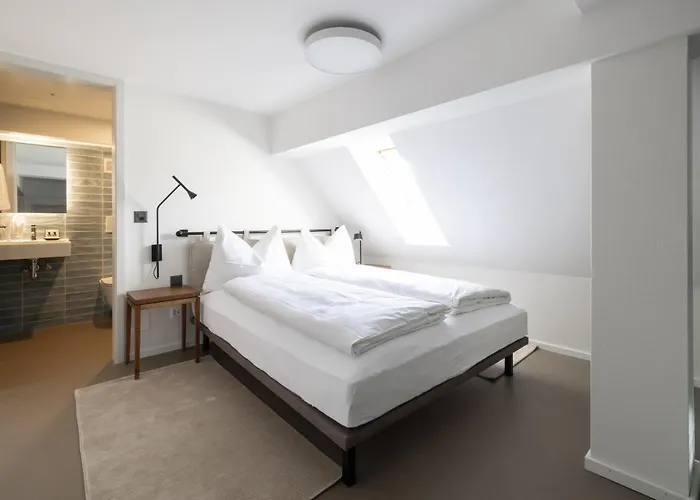 Ema House Serviced Superior Unterstrass Zurich