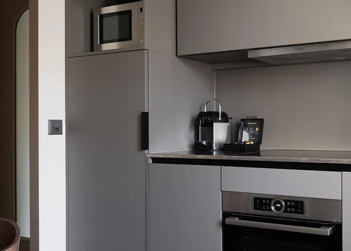 Ema House Serviced Superior Unterstrass Apartment Zurich